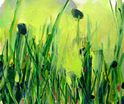 liebe blumenwiese - 2007 - acryl auf leinwand - 40 x 60 cm